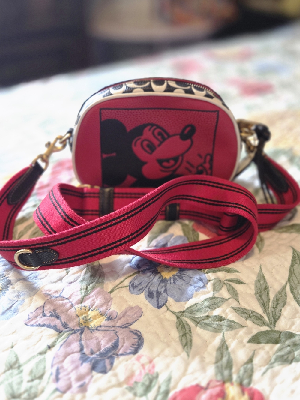 Red Cartoon Graphic Crossbody with Wide Stripe Strap